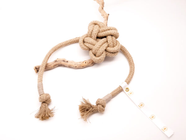 ELEVEN LYS `FLEUR DE LYS´. NATURHANF.